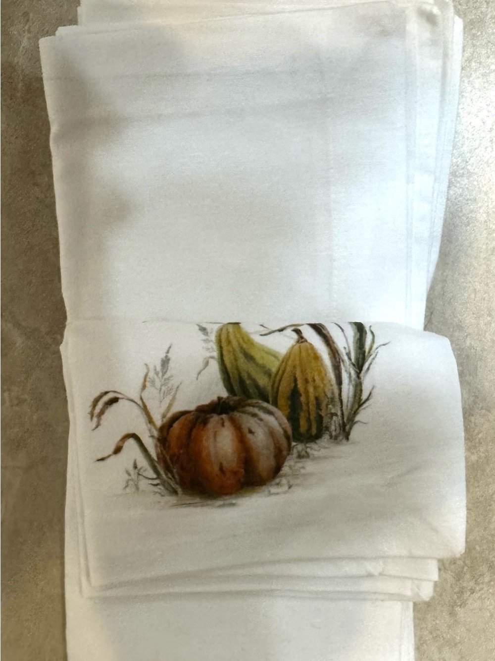 Pottery Barn Bedford Harvest Napkins - Picture 7 of 12